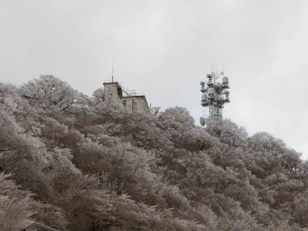 しかしここまで雪が積もっているとは…。
女体山側は山頂手前まで樹林帯の道が続くこともあり、雪が見せる景色は男体山以上だった。