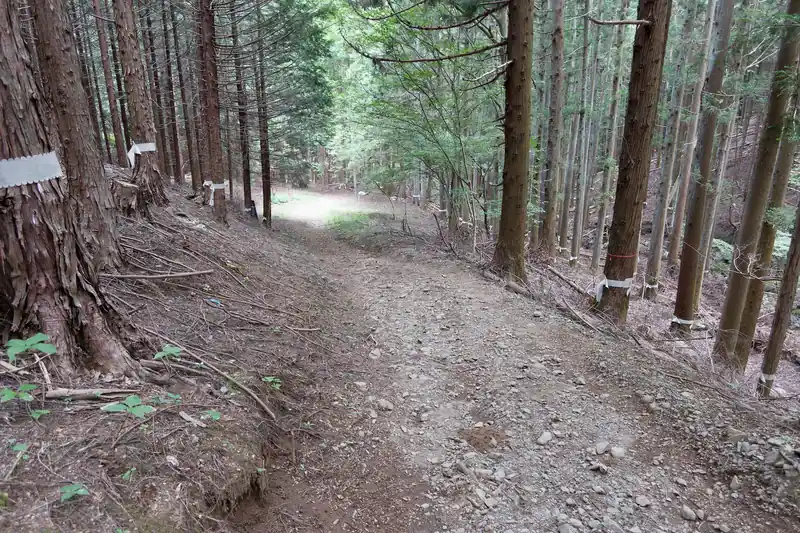 幅の広い林道に出ました。このあたりで登山道は終わり。