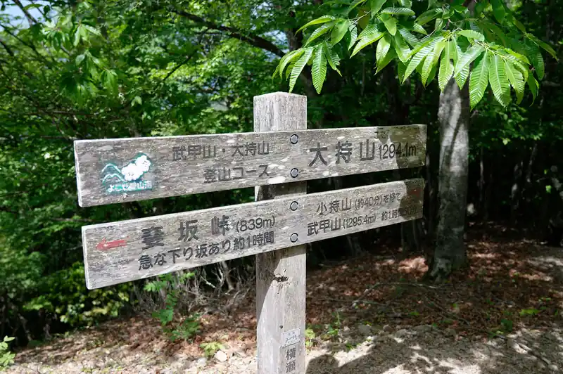 大持山に到着。
山頂は細長く、4～5人くらいが座れるかな～って感じです。
既に3人くらい登山者がいて休憩中。

私もパンを一つ食べて出発です。しかしハエが多く鬱陶しい。