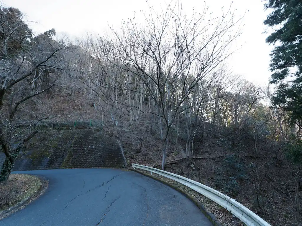 このガードレールの切れ目から細いトラバース道を歩いて天王山に登ります。目の前の山が天王山というわけ。
見るからに急斜面を登ることになりそうな感じがする。
