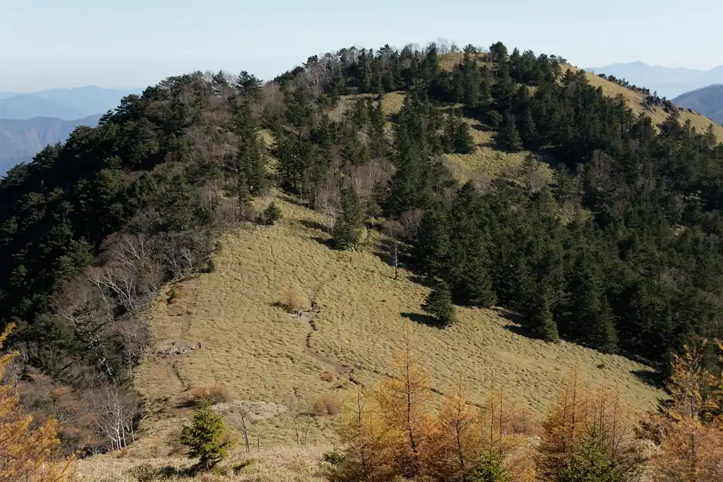 石丸峠には思ったよりも登山者がいた。雷岩から大菩薩峠までの稜線の人出に比べると、かなり少なくなったが。
この時点で時刻は12時50分。小金沢山方面へ歩いていく登山者もいて、もしかしたら牛ノ寝通りを歩いていくのかもしれない。私も歩きたかったが、牛ノ寝通りは意外と長丁場だと思ったので、今回はここから上日川峠に下山する道を歩いていく。