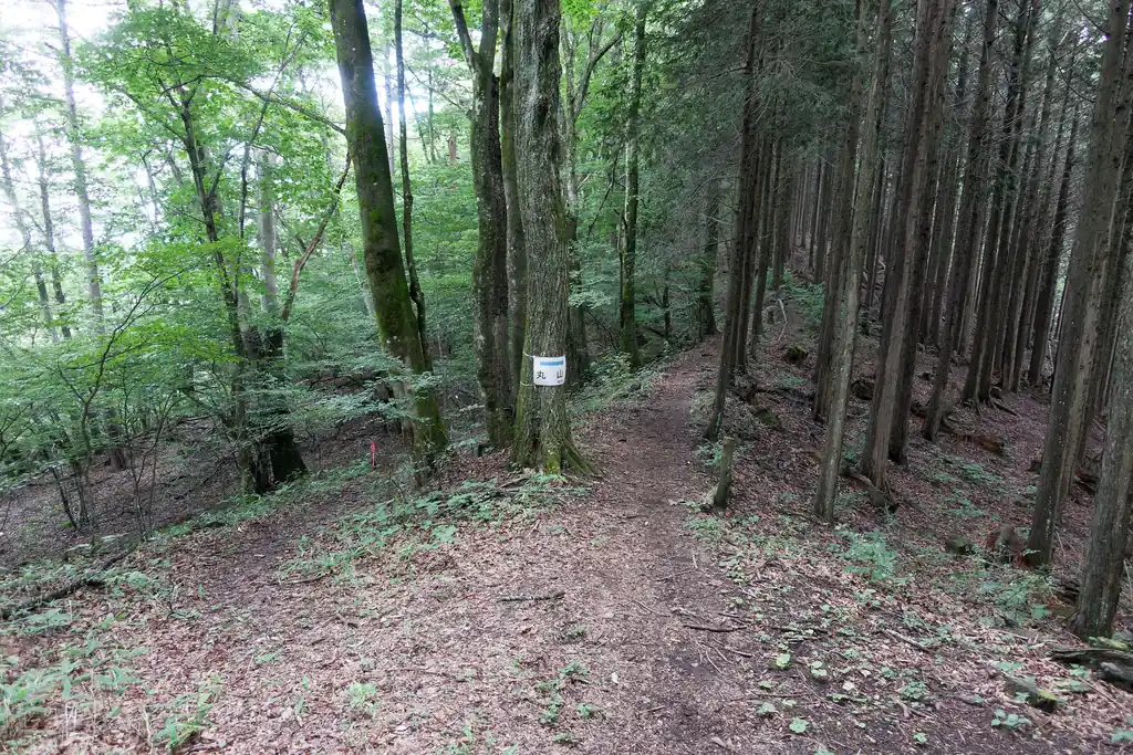 なんかやけにトレランの人とすれ違うな～と思っていたら、ハセツネ・日本山岳耐久レースのコースに設定されているらしい。
トレランっぽい人が道の整備してるのとたまにすれ違ってたんだよな～大会が近いんでしょうねたぶん。