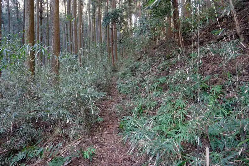 藪を抜けてようやく平穏な道へ。