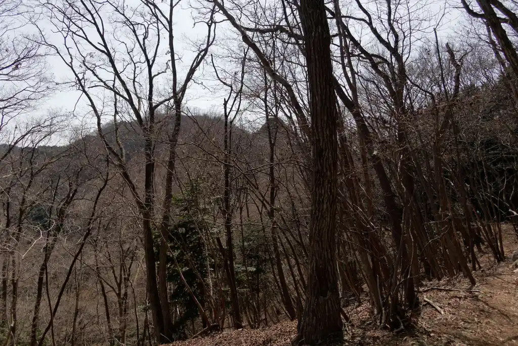 岩茸石山の右の尖峰はなんだろう？