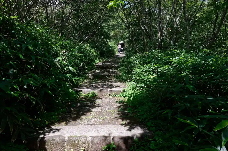 登りはじめは階段の道。