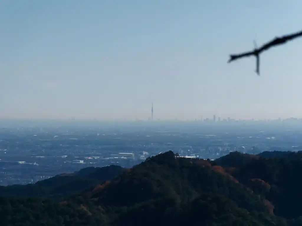  今日は空気が澄んでいるのか、スカイツリーが見える。 