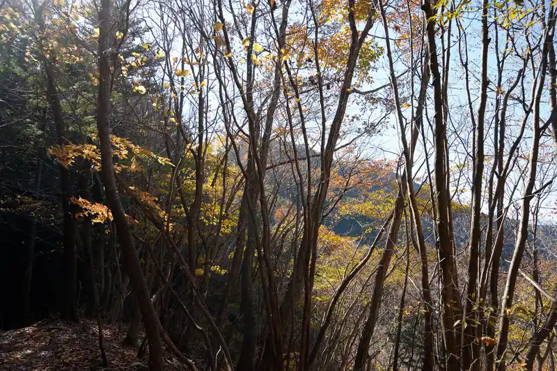 樹間から見える山が百蔵山かな。