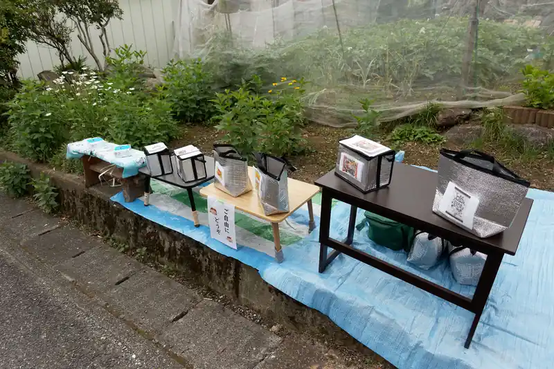 またまた非公式エイドに遭遇。私はゼリーとチョコレートを頂きました。ありがとうございました。
