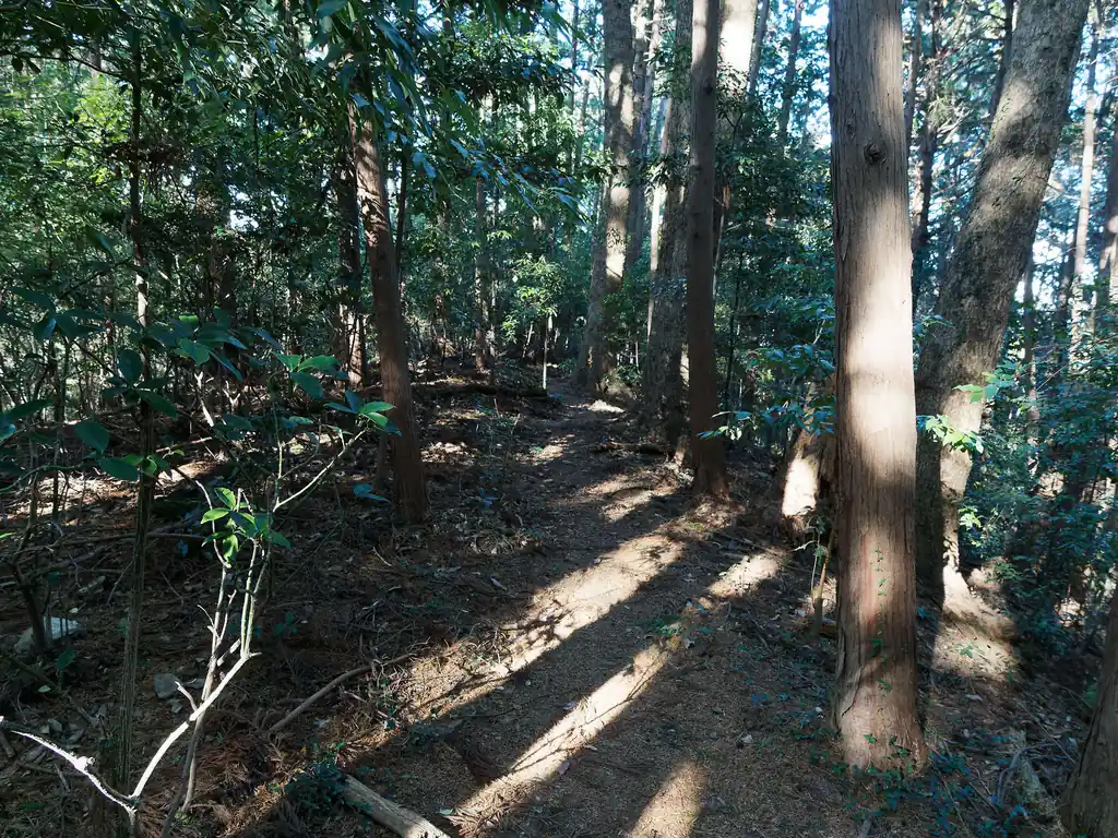 登っていく