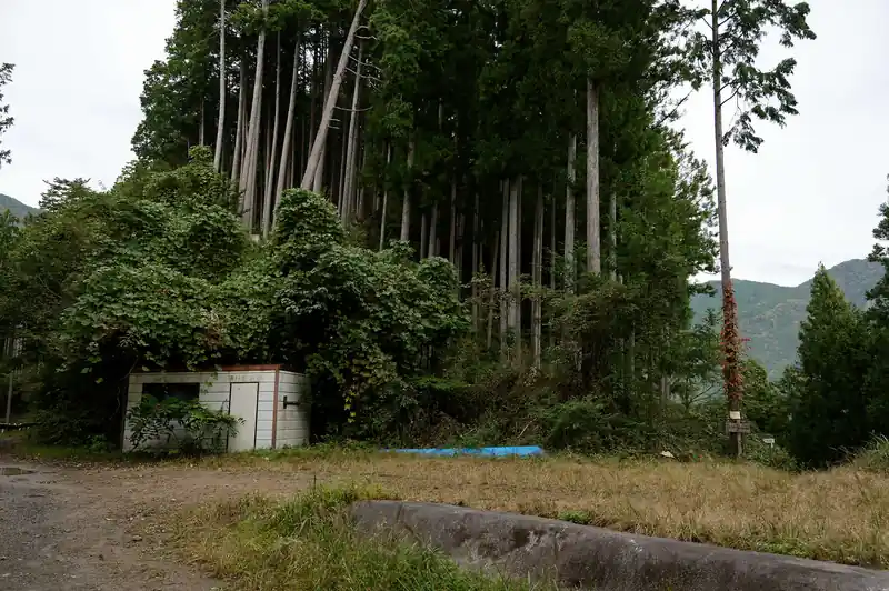 こちらは大ダワ方面から下ってくる尾根道。