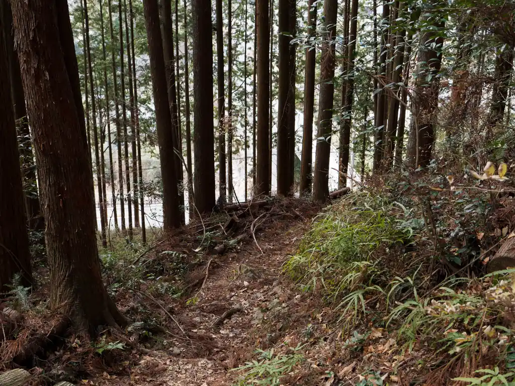 舗装路が見えたら下山まではすぐ。