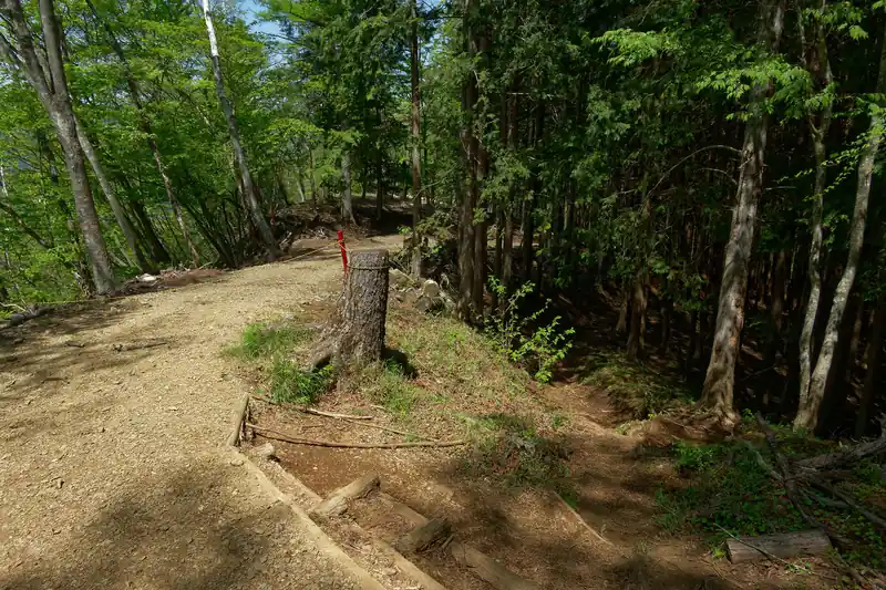 ここでブル道？と思しき道と交差。
真っ直ぐ登山道が続いているので、下っていく。