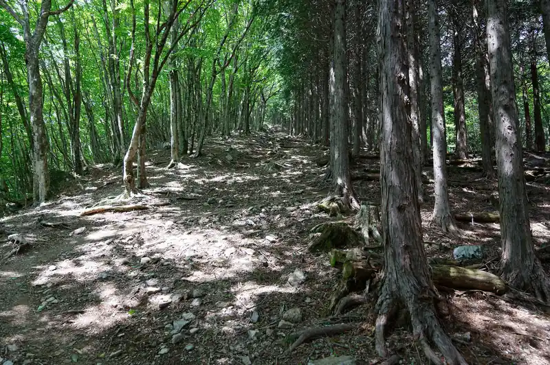 このあたりは両側崖記号で心配だったんですが、登山道は至って平和。