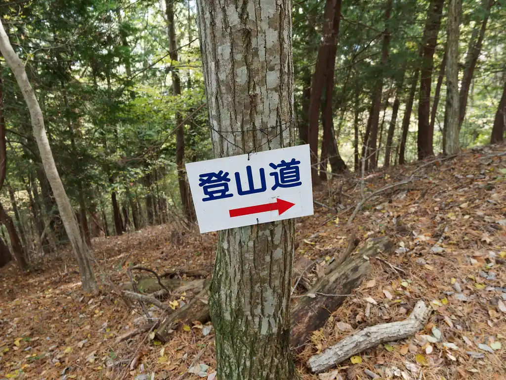 下の方まで来ると写真のような道標が増える。
正直、このあたりはだいぶ道形がわかりやすくなっていたと思うので、迷うことはないと思うが。