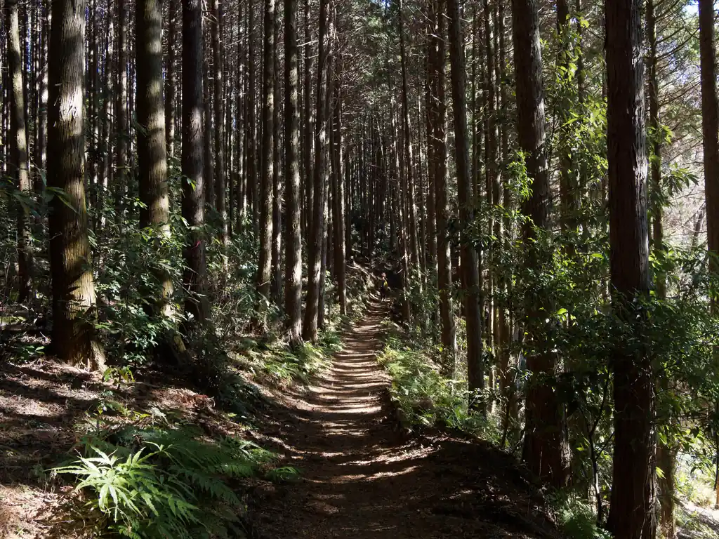 車道をしばらく歩いて再び登山道へ。
諏訪神社へ向かう。