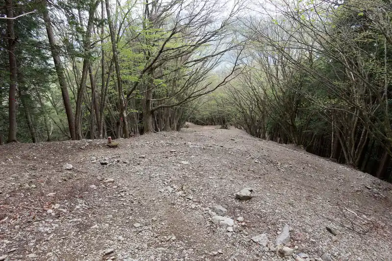 ひたすら下るのみ。
