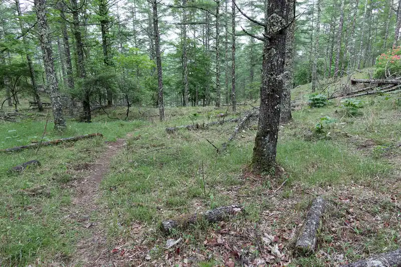 分岐まで戻ってきまして、次は棚横手山方面へ向かっていきます。