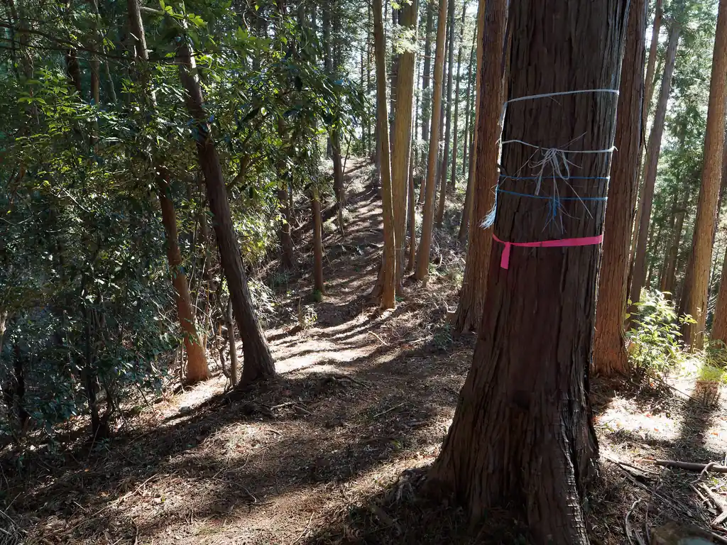 こちらが勝峰山方面。見るからに歩きやすそうな道。