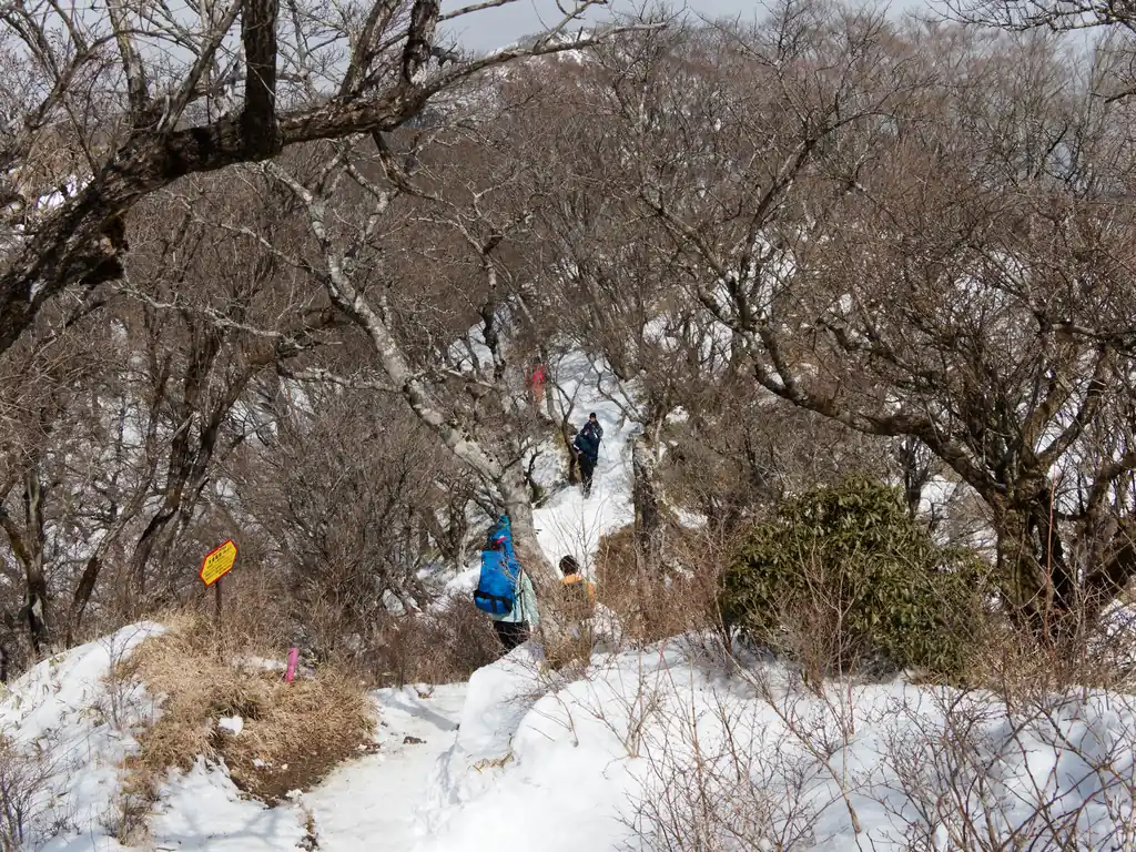 金冷やし付近の痩せ尾根に突入。
ここらへんはかなり雪が積もっていて、軽アイゼンを付けている人が圧倒的多数。
なしで歩いている人もいたけど…まあやめたほうが賢明かと思われます。

というか、軽アイゼン・チェーンスパイクなしで歩いてる人の前後って歩きたくない。いつ滑って突っ込んでくるかわからないので。