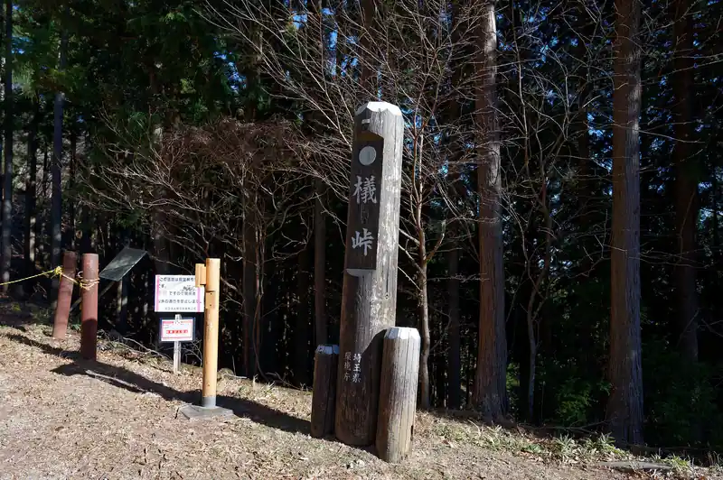 そこから奥武蔵グリーンラインを歩いてぶな峠へ。