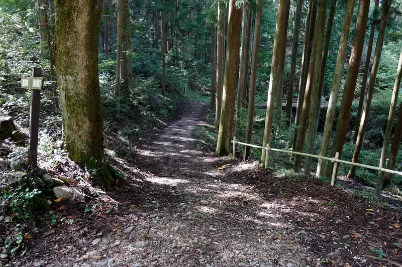 峠の茶屋からは車も通れそうな道が続いている。