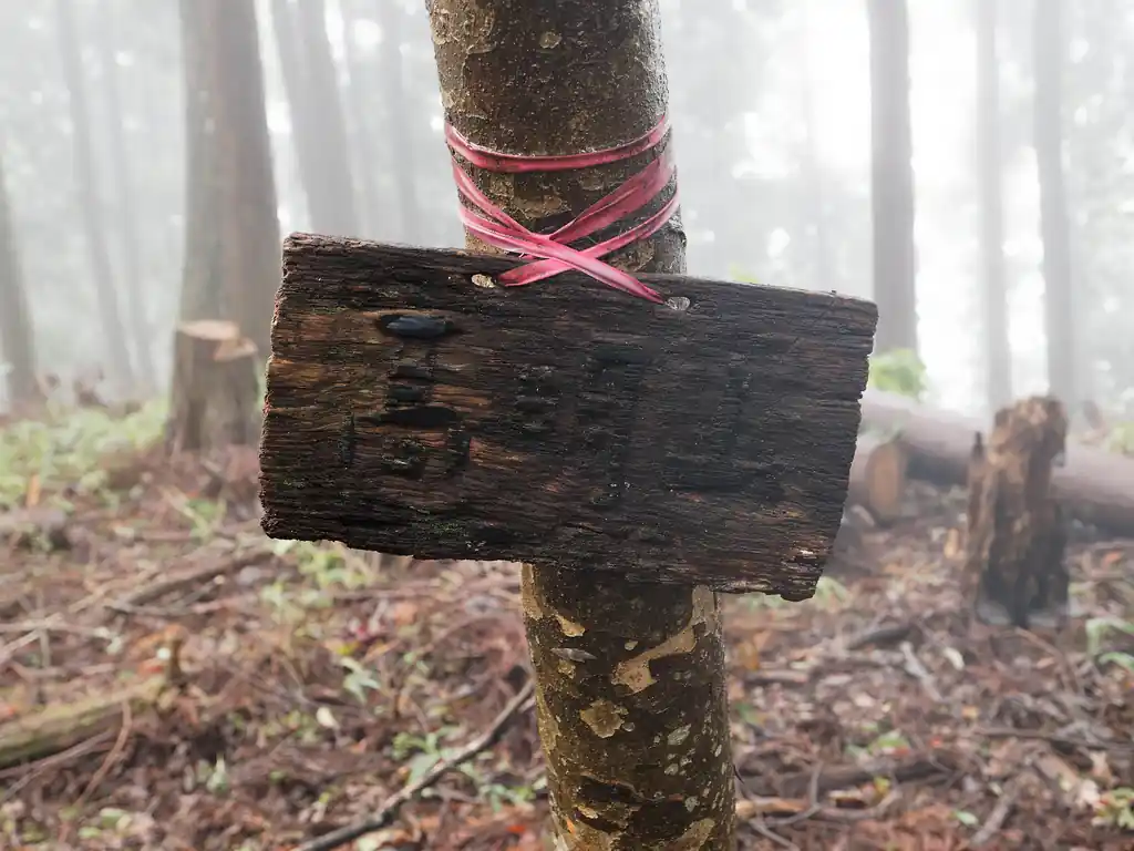 神社跡の裏手から少し登ると山頂標がありました。すっかり朽ちてなんと書いてあるのか判別が際どいところですが…。