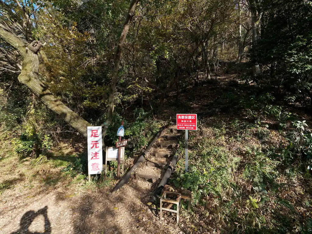 権現山からの降りは思ったよりもしっかりとした登山道で、道はそこそこ狭いし急なので、しっかりした靴で歩いた方がよさそう。
流石にここから権現山に登っている人は皆さん登山装備だった。

ここからしばらく舗装路を歩いて秦野駅を目指す。この日はそこそこ暑く、汗をタラタラと流しながら駅に向かう。
14時39分ごろ秦野駅に到着。ホームで残ったパンを食べて電車が来るのを待つ。