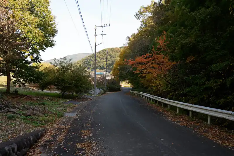 舗装路を歩いていく。