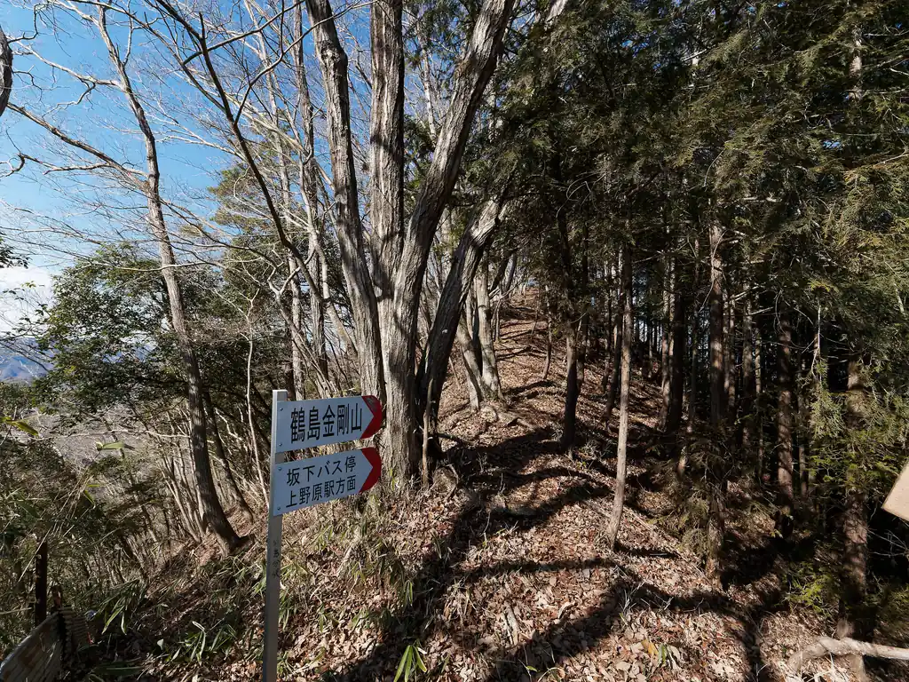 稜線に乗る。ここで鶴嶋金剛山への分岐。
本当は鶴嶋金剛山も寄ろうかと考えていたが、この後日連アルプスも歩く事を考えると、無駄に疲れるのは嫌だなと思ったので今回はパス。