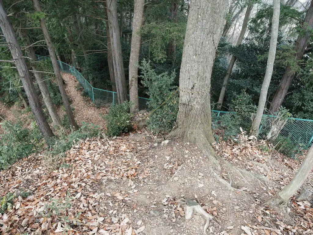 昼食を食べ終わったら裏側に続く女道からカモシカ新道に降りてみる。
以前歩いた時は男坂から歩いたので、こちらは未踏だった。