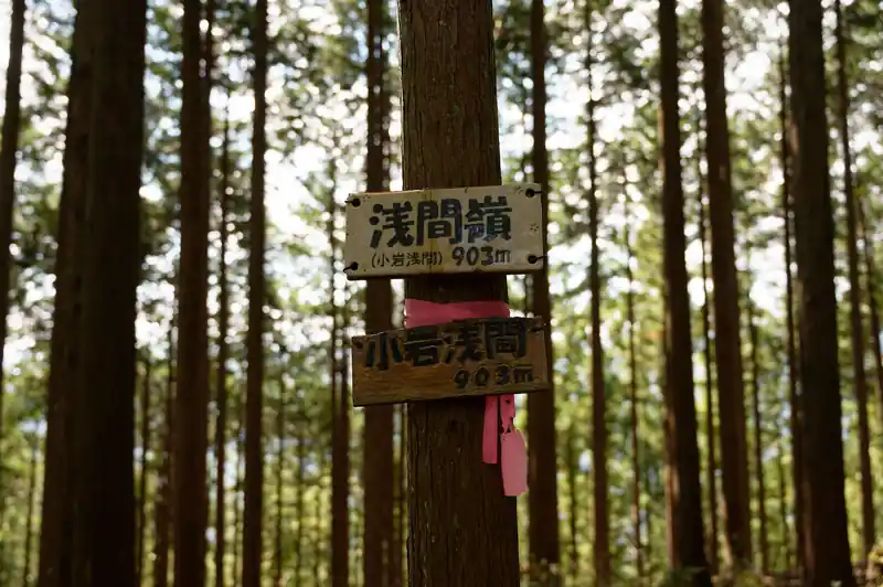 浅間嶺に到着。あれ、浅間嶺ってこんな感じ？もっとデカい、威厳のある山頂標が浅間嶺だと思っていたのだが…。