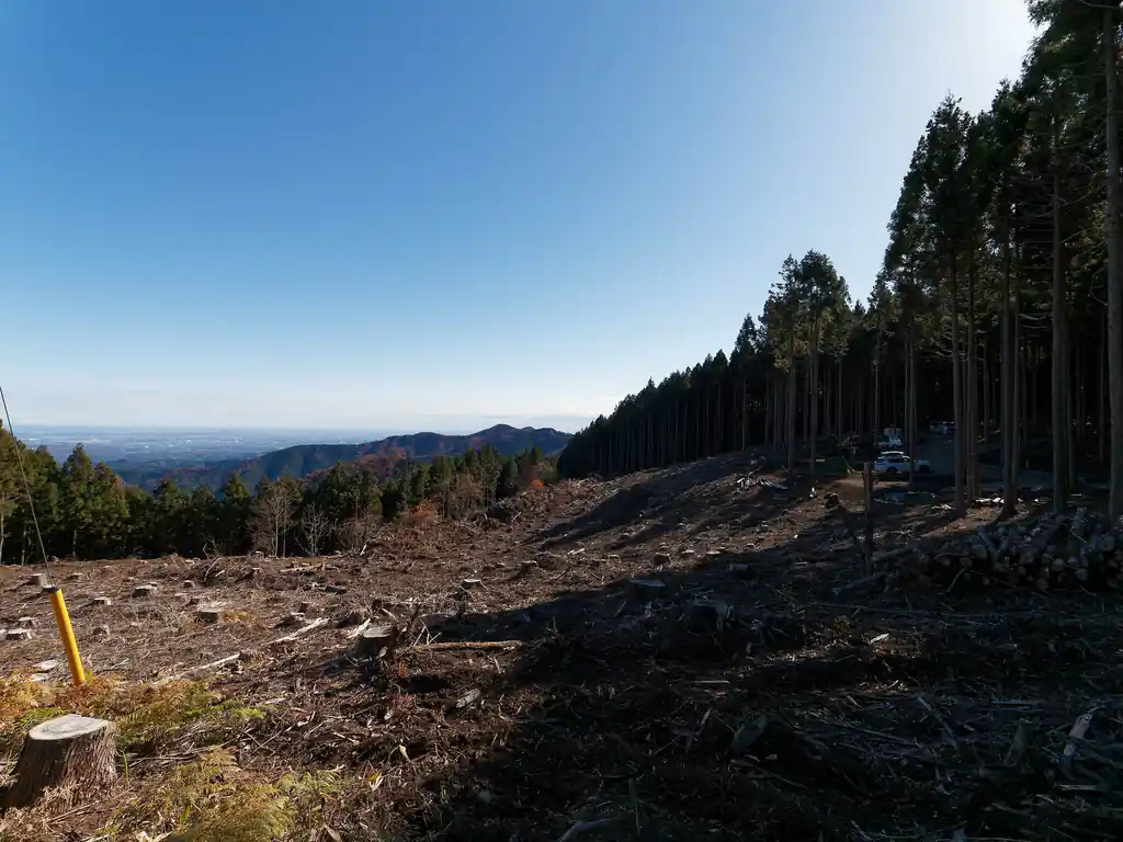 ここも木を切って見晴らしを作ったのかな。ただ堂平山と比べるとどうしてもね。
丸山山頂まで行けば見晴らし良いけど、キャンプやりに来た人はあそこまで行かないだろうなあ、と思う。