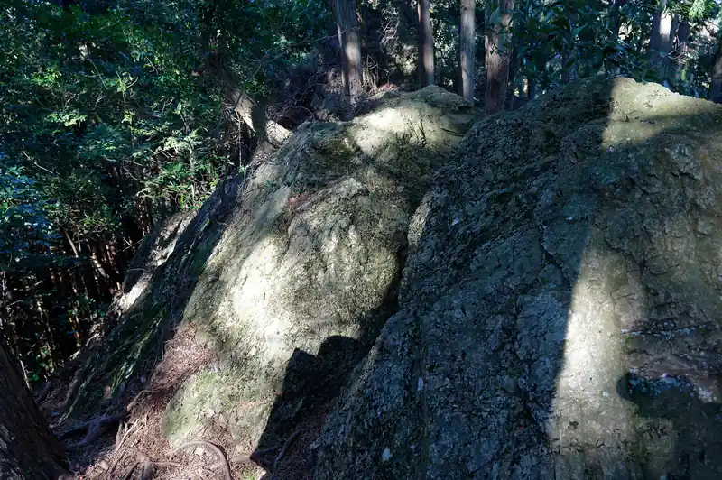 この岩を越えると、少しばかりの岩尾根を進むことになる。両側崖のようになっているが、木が多いこともあって高度感はない。