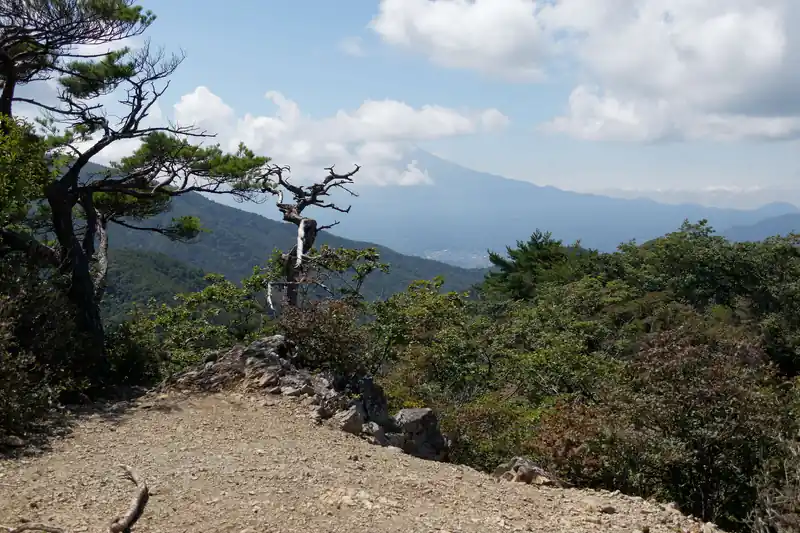 清八山に到着しました。山頂はそこそこの広さ。木が少ないため非常に見晴らしがいいです。
正面に富士山が見えるはずなんですが、裾野が見える程度で雲の中です。