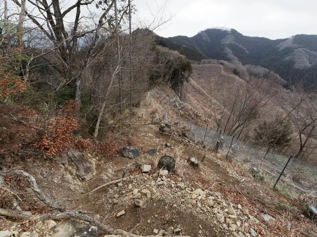 岩場通過後。開けていてなかなかいい感じの道です。