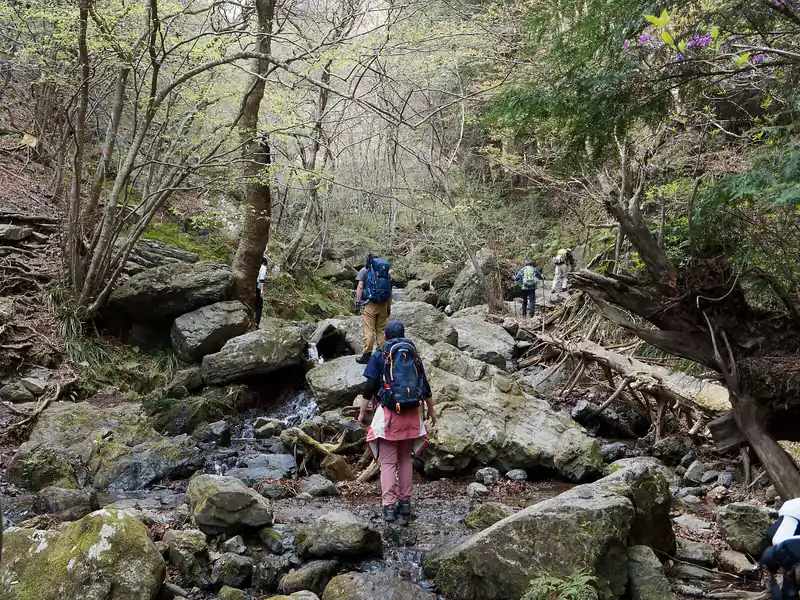 次第に登山道と沢が近づいていき、沢の中を歩いていくような部分も出てくる。
周りになんか歩けそうな感じのするところもありますが、白谷沢コースは、ずっと沢の本流を遡行していくように登っていくのが正しい道。