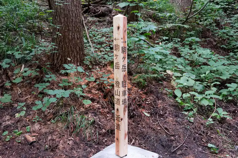 途中、登山口への近道の登山道がある。
登りはここを歩いて登山口へ向かうこととする。