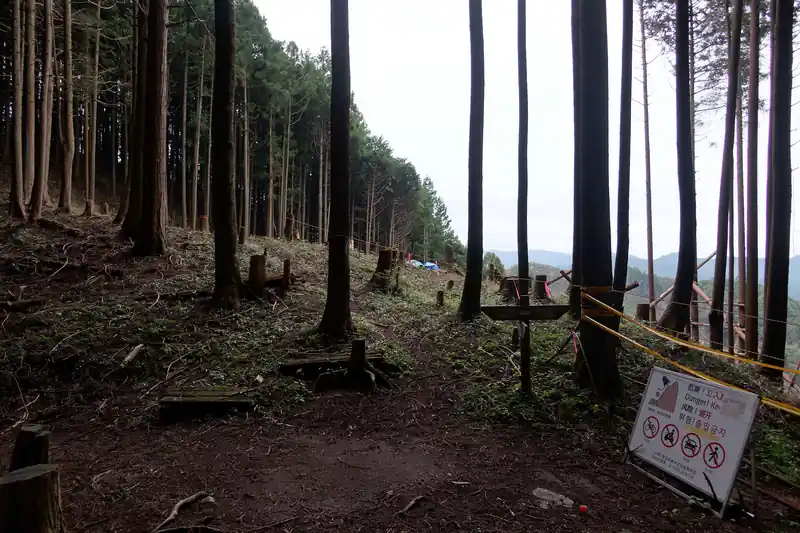 こちらもまたまた伐採地。