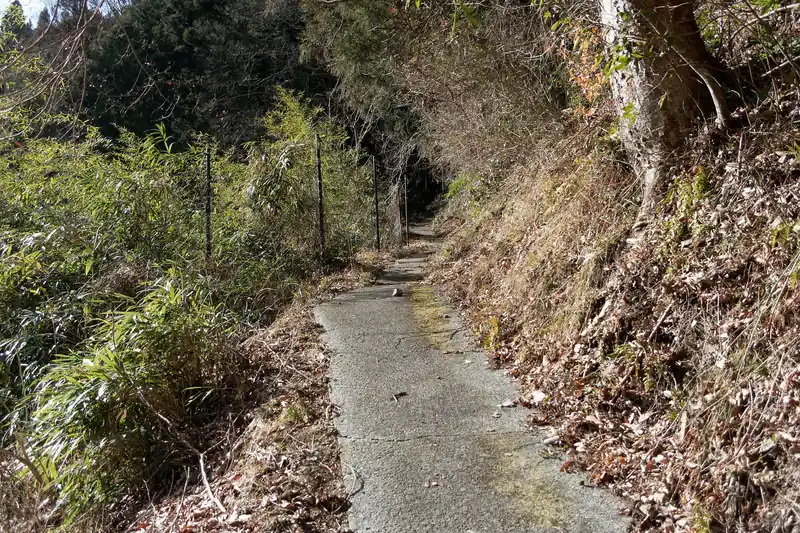 しばらくは舗装路の道。