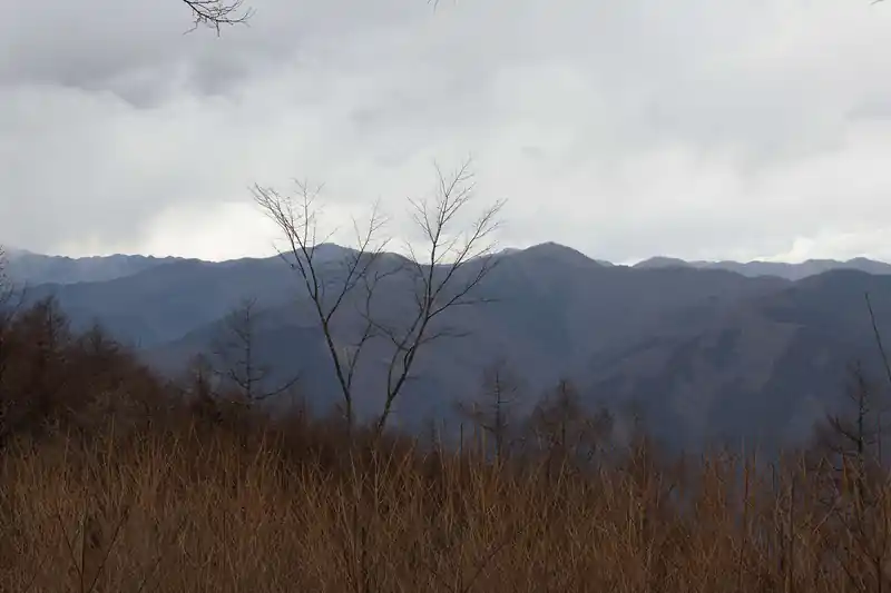 こちらは奥多摩湖を挟んで向かいの鷹ノ巣山の方。
