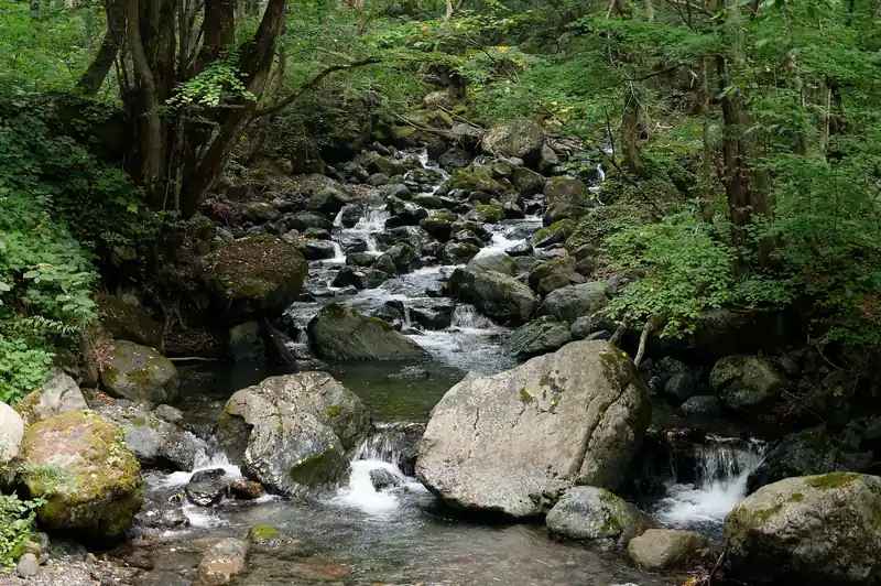 沢沿いの舗装路を歩いて登山口まで向かう。