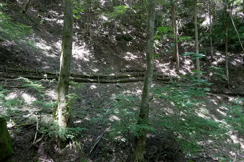 そのまま何気なく舗装路を下っていたら向かいに登山道らしき道が。
どうやらあっちが登山道という建前らしい。まあここまできたら、もうどっち歩いても同じだけど…。