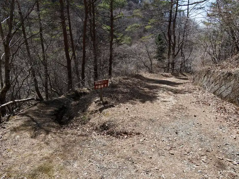 途中いくつかショートカット道があるので利用して下る。