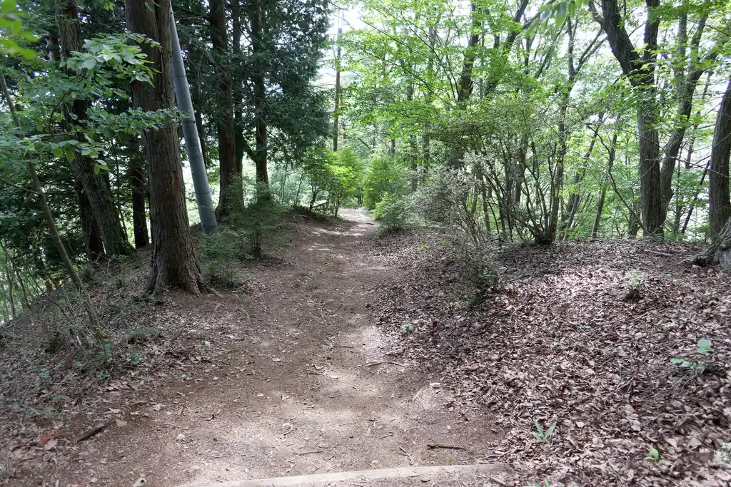 ロープウェイを使って降りてもよいのですが、ここは登山道を使って降りてみます。
この道も歩きやすい道です。特に危険個所はなし。