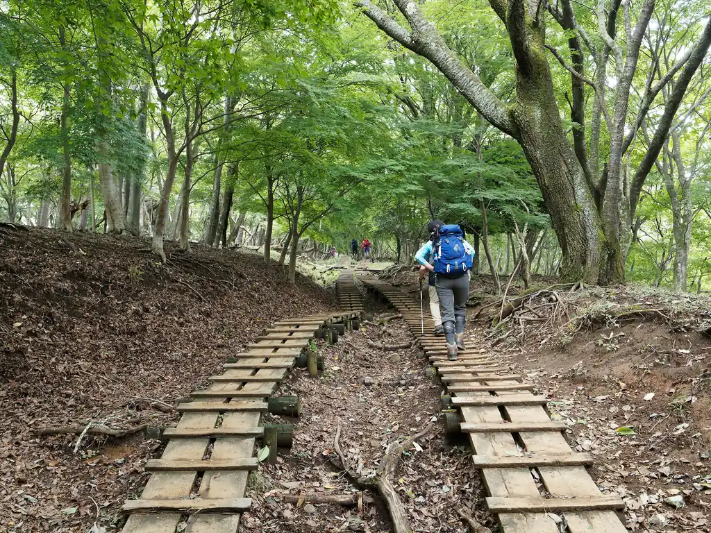 木段の道ってなんか丹沢っぽいな～と思っちゃう。