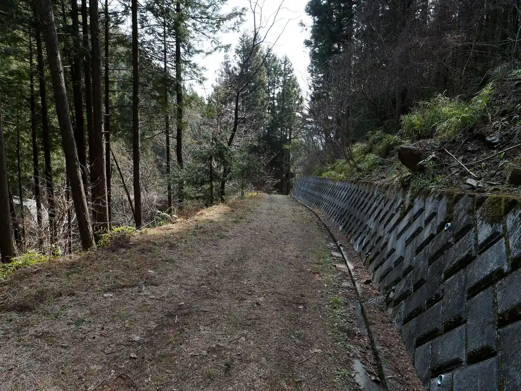 沢に沿って降っていくと林道。