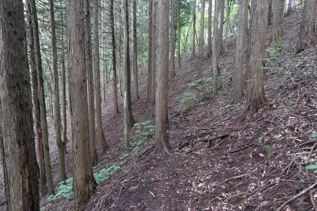 丸山登るのが面倒になって今回は迂回路を使います。丸山、何もなさそうだし…。