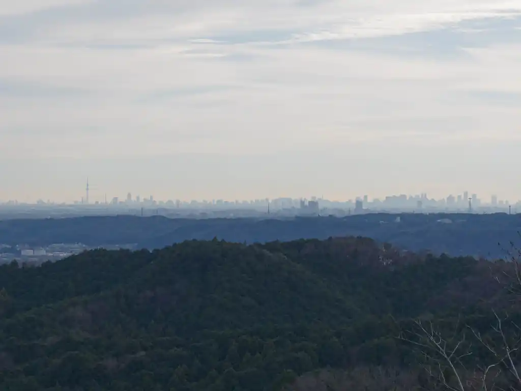 天気はそれほどよくなさそうだったが、思いの外遠くまで見渡せた。
うっすらとスカイツリーも見えている。