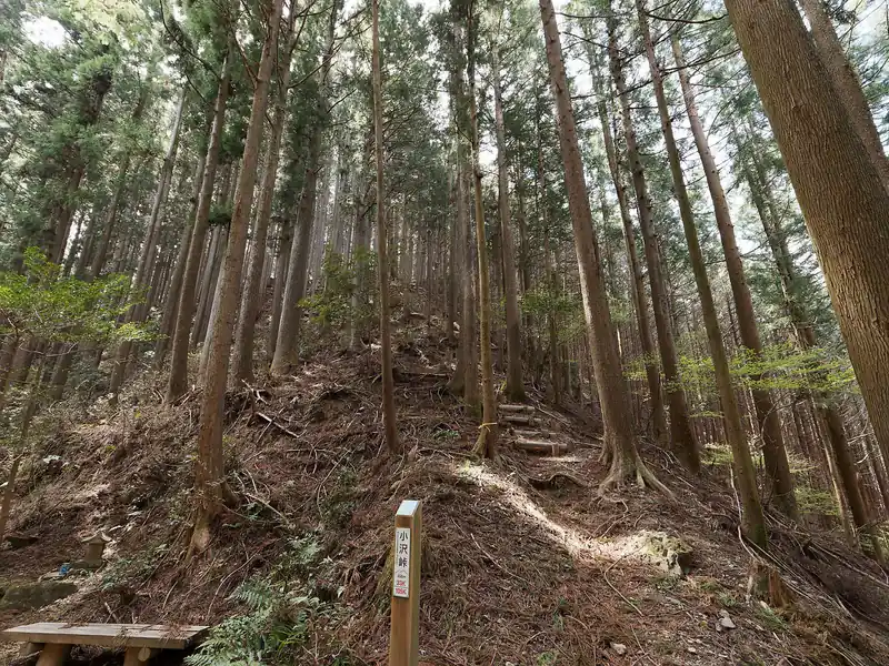 う～ん、大変な下りだったぞ。