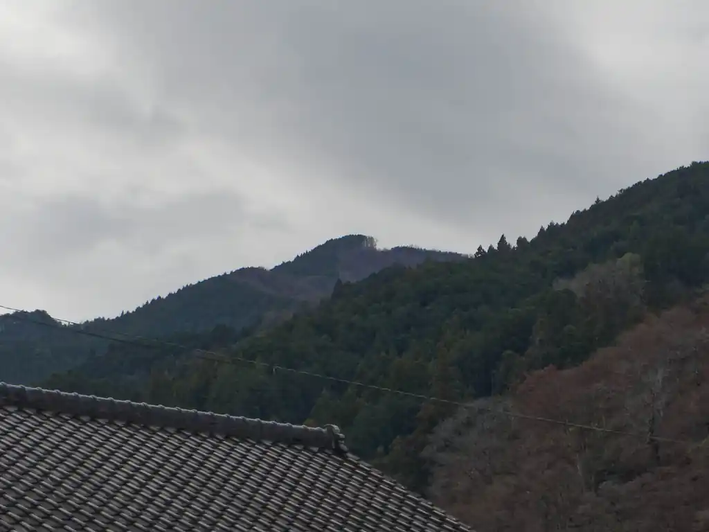 木が伐採されている辺りがたぶん棒ノ折山かな。